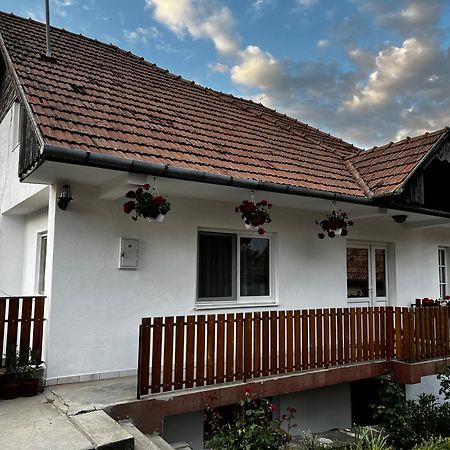 Balazs Vendeghaz Aparthotel Lupeni  Екстериор снимка