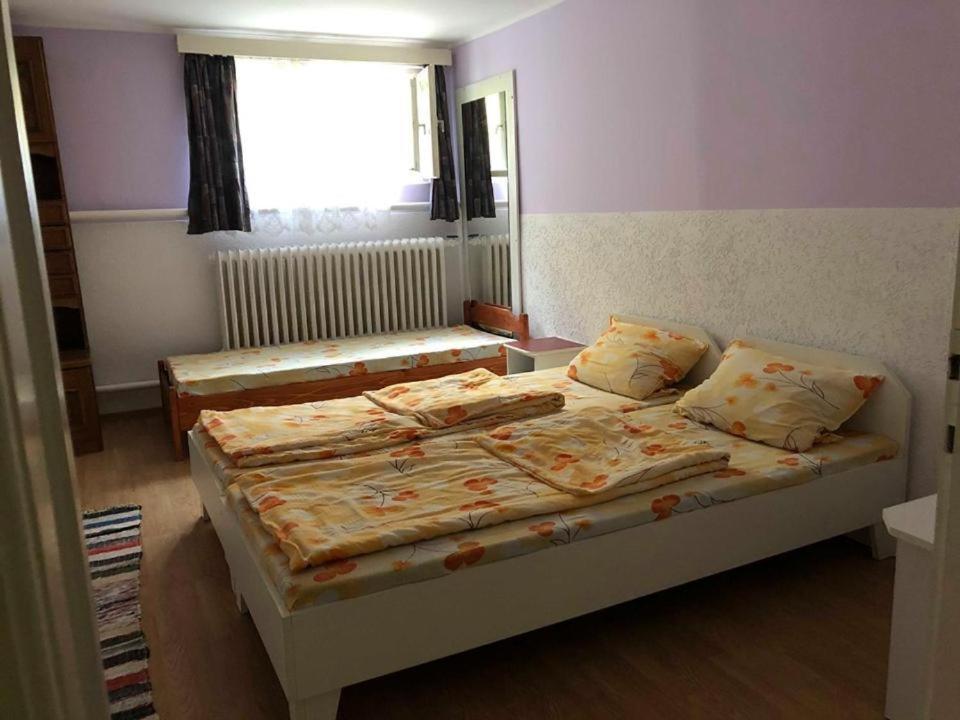 Balazs Vendeghaz Aparthotel Lupeni  Екстериор снимка